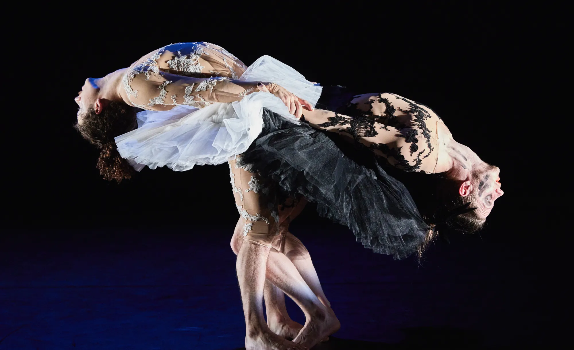 Le Lac des cygnes (El lago de los cisnes)