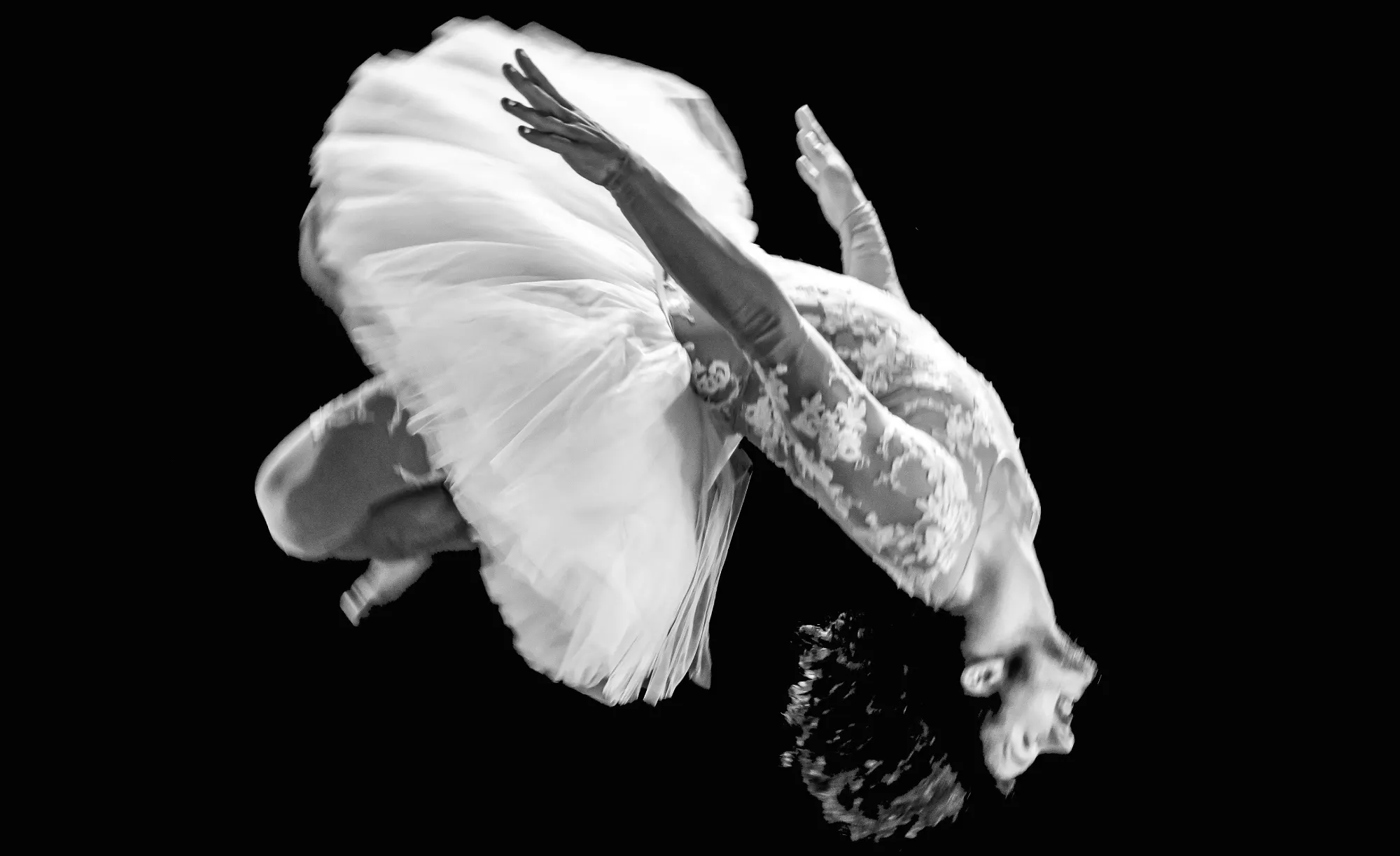 Le Lac des cygnes (El lago de los cisnes)